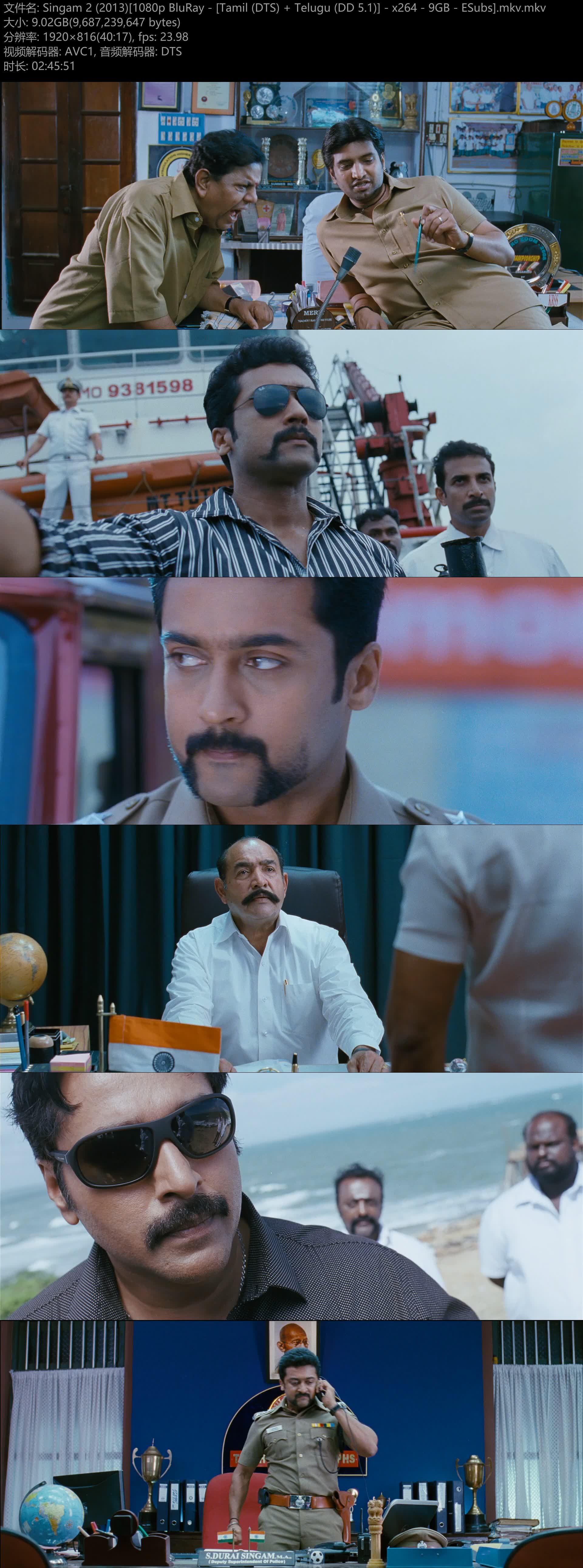 Singam 2 (2013)[1080p BluRay - [Tamil (DTS)   Telugu (DD 5.1)] - x264 - 9GB - ES.jpg