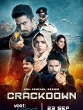 【Crackdown】2020.Hindi.S02.1080p.外挂机翻字幕16G