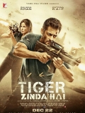 【猛虎还活着】Tiger Zinda Hai.2017.1080p蓝光.中英官字.5.74G