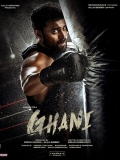 【阿甘传】Ghani.2022.Telugu.1080p.中英自译3.1G