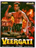 【殉难】Veergati.1995.1080p外挂机翻字幕4.2G