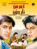 【可然和阿俊】Karan Arjun.1995.720p.中字2.0G