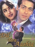 【双面俏佳人】Dil Tera Aashiq (1993)中字