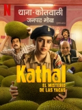 【菠萝蜜】Kathal.2023.1080p.外挂官方字幕.H265容量3.3G