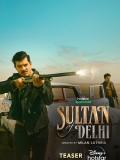 【Sultan of Delhi】2023.第一季全9集1080p外挂机翻字幕6.1GB